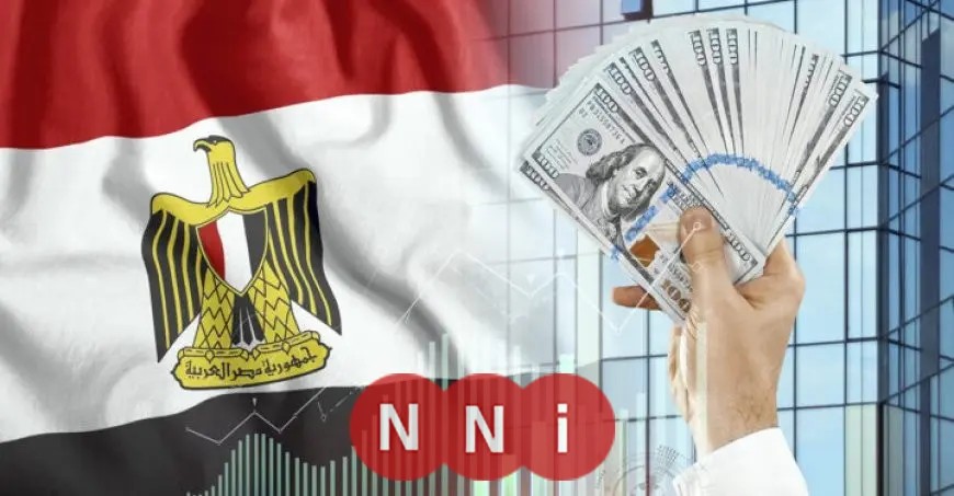 الجنيه يسجل أفضل أداء له أمام الدولار منذ بداية العام، حسب مجلس الوزراء