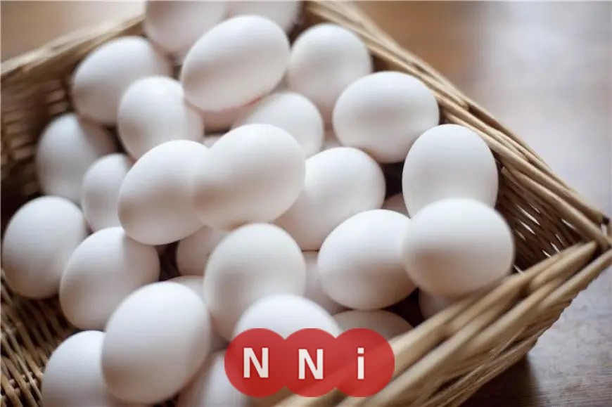 أسعار كرتونة البيض في مصر اليوم الجمعة 22 أغسطس 2025