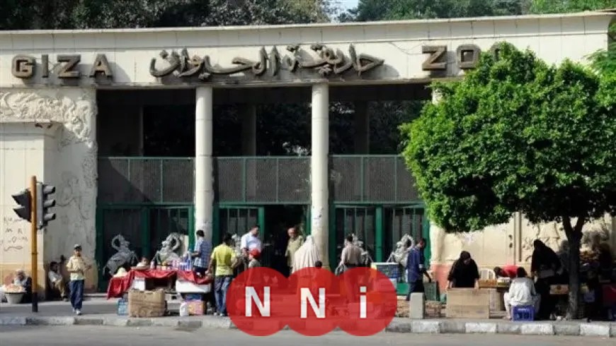 استمرار جهود التطوير الشاملة في حديقة الحيوان بالجيزة