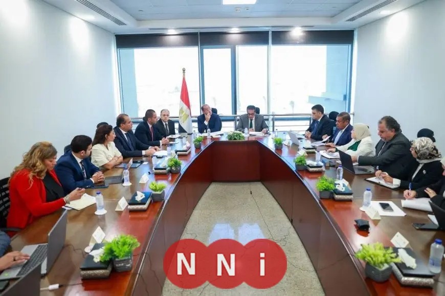 وزير الخارجية: قطاع الأدوية يعد من الأسس التعاون المصري مع الدول الأفريقية