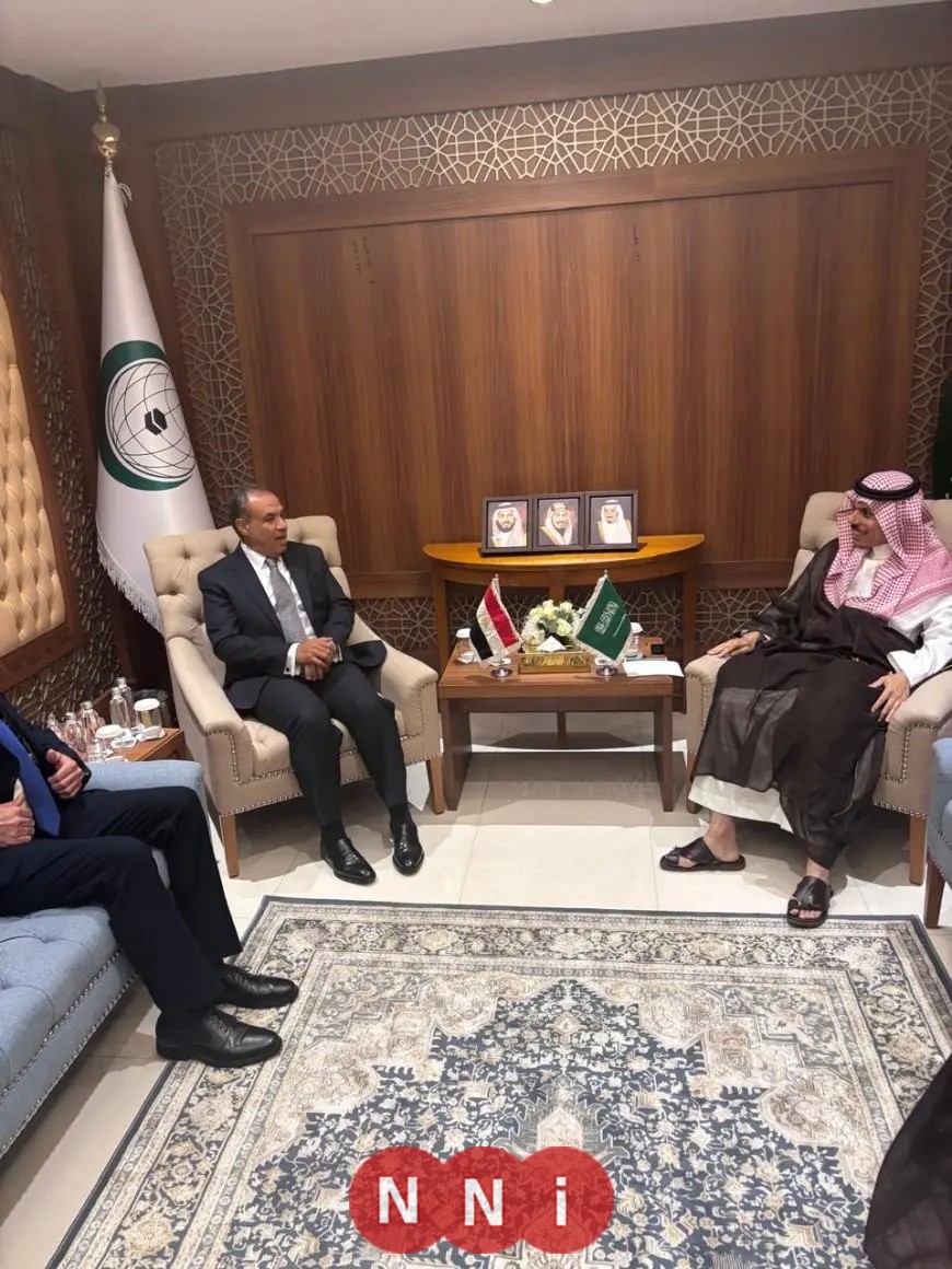وزير الخارجية ونظيره السعودي يعززان موقفهما الرافض للاعتداءات الإسرائيلية وسياسة التجويع في غزة