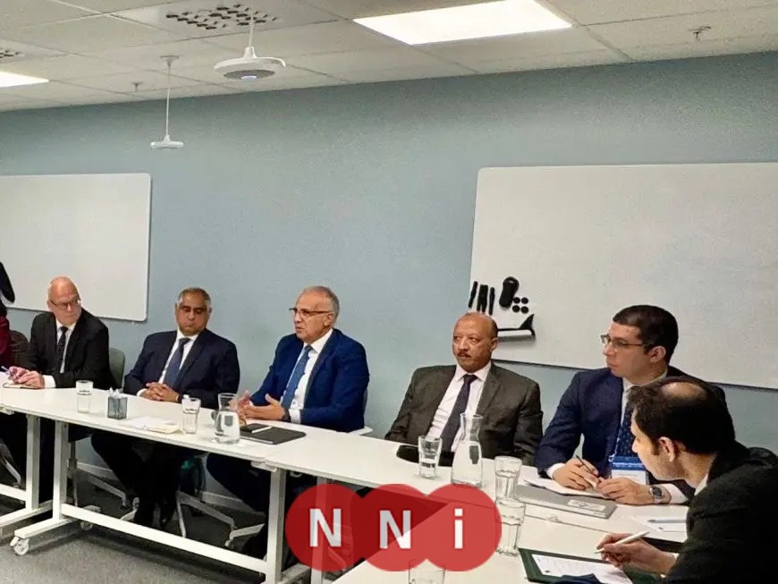 للاستفادة من التكنولوجيا.. وزير الري يجتمع بممثلي مجلس التجارة والاستثمار السويدي