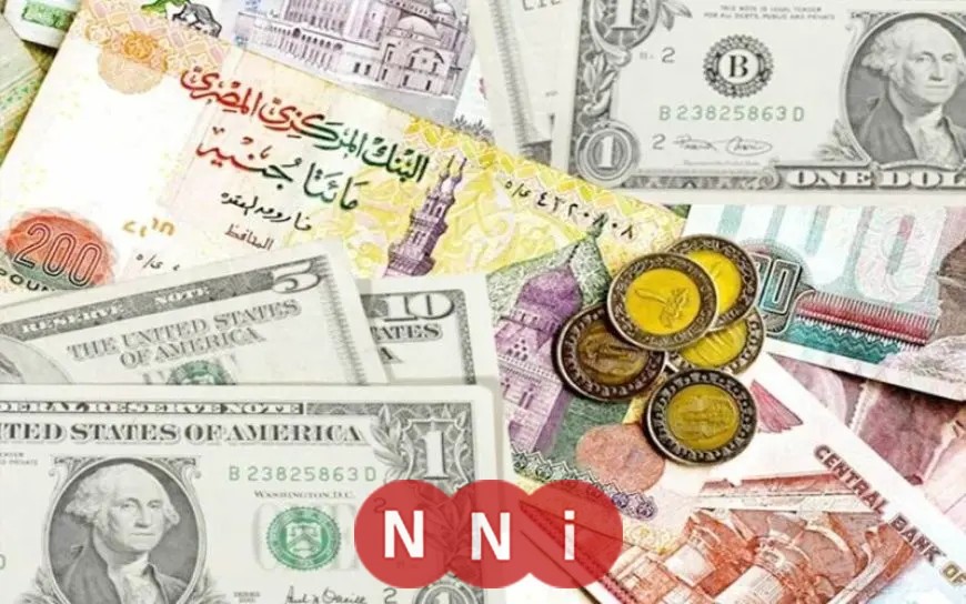 الدولار سيصل إلى 35 جنيهاً.. رئيس لجنة الخطة والموازنة يعلن توقعات إيجابية