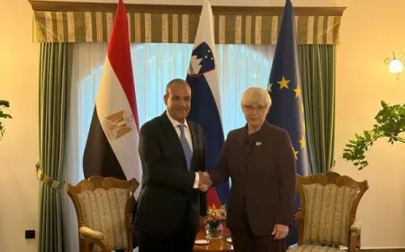 لقاء وزير الخارجية برئيسة جمهورية سلوفينيا