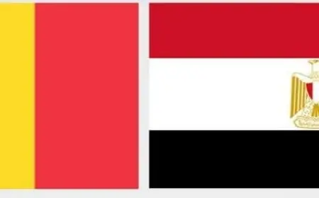 مصر ترحب بنية بلجيكا الاعتراف بالدولة الفلسطينية