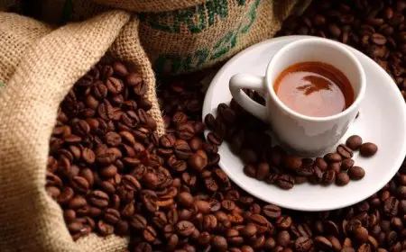 أطعمة ومشروبات طبيعية تقلل من الشهية.. «بعيدًا عن القهوة»