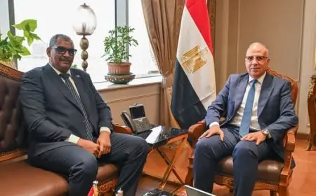 محادثات مصرية-سودانية حول مستجدات سد النهضة الإثيوبي