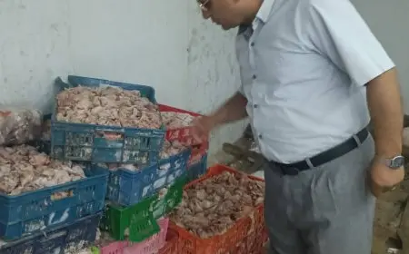 الجيزة تسجل ضبط 4.5 طن من الدواجن والجلود والدهون غير الصالحة للاستهلاك الآدمي