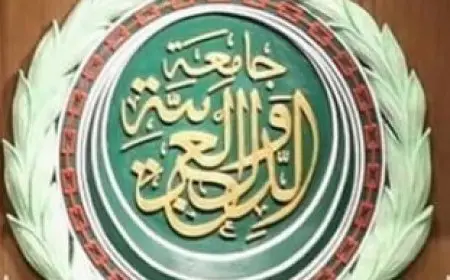 اعتماد جامعة الدول العربية للرؤية المشتركة المصرية السعودية للأمن الإقليمي