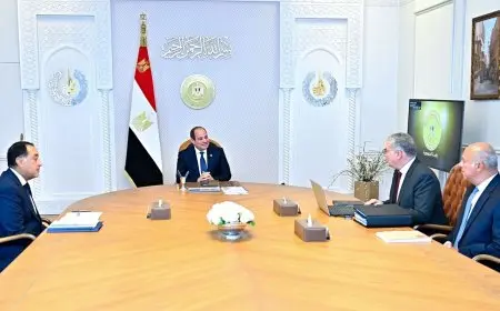 الرئيس السيسي يأمر بمواصلة تطوير اكتشافات البترول وإدراجها ضمن خريطة الإنتاج