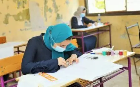 تنسيق الدبلومات الفنية 2025: الهندسة 97.3% والتربية 91%