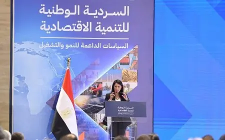 وزيرة التخطيط: مشروعات البنية التحتية تعتبر أسسًا لبناء اقتصاد قادر على مواجهة التحديات الخارجية