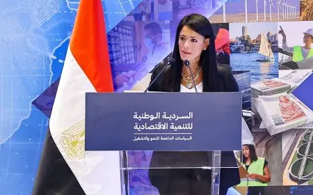 وزيرة التخطيط: إعادة هيكلة 59 هيئة اقتصادية لتحسين الكفاءة وترشيد النفقات العامة