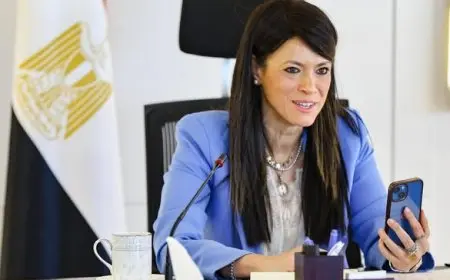 وزيرة التخطيط: مصر لديها استراتيجية محددة للتعامل مع التحديات الدولية