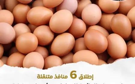 بيوت متنقلة لبيع بيض المائدة بأسعار منخفضة في القاهرة والجيزة