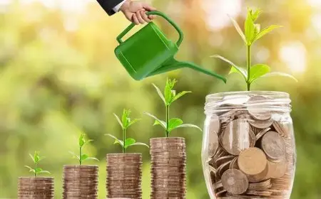 دور تمويل المشاريع الصغيرة في تعزيز الاقتصاد