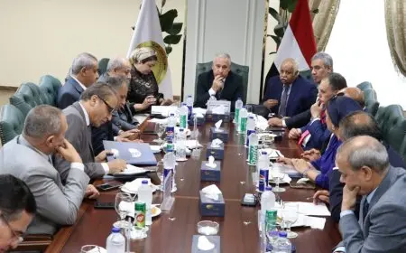 تنفيذًا لتوجيهات الرئيس: آليات فعّالة لإعادة تنظيم وتطوير المؤسسات الصحفية القومية