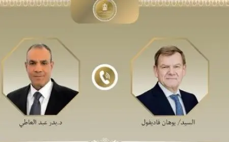 وزير الخارجية يناقش مع نظيره الألماني الأوضاع في غزة وتطورات الملف النووي الإيراني