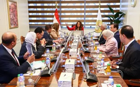 وزيرة التنمية المحلية تناقش تعزيز الخدمات التمويلية والتأمينية في المحافظات