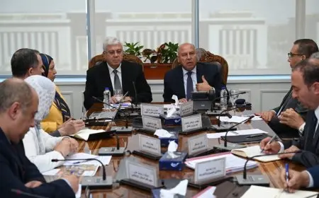 محادثات بين وزارتي النقل والتعليم العالي لإنشاء جامعة متخصصة في النقل في مصر