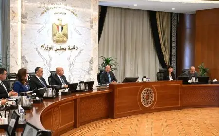 رئيس الوزراء يترأس اجتماع المجلس الأعلى للطاقة