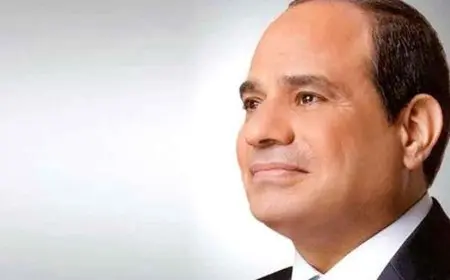 الرئيس السيسي يصدق على قانون يسمح باستغلال خام الذهب والمعادن المرتبطة به في منطقة السكري