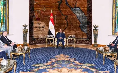 الرئيس السيسي يلتقي وزير خارجية إيران ومدير الوكالة الدولية للطاقة الذرية