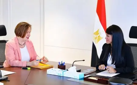 المشاط تعرض ملامح وأساسيات “السردية الوطنية للتنمية الاقتصادية”