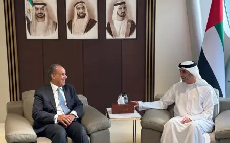 وزير الخارجية يستعرض الشراكة الاقتصادية المتكاملة بين مصر والإمارات