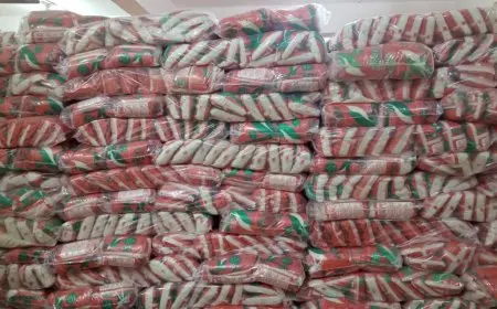 المحافظ الجيزة: ضبط 2258 قضية تموينية بإجمالي 635 طن من المضبوطات خلال حملات مباحث التموين