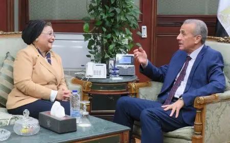 نائب وزير الصحة تبحث مع رئيس الجهاز المركزي للتعبئة والإحصاء سُبل التعاون في تنفيذ مسح الأسرة المصرية