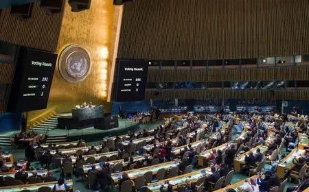الجمعية العامة للأمم المتحدة توافق على مشروع قرار حول حل الدولتين بدعم 142 دولة