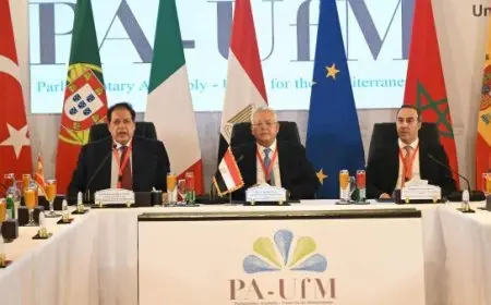 أبو العينين: المنطقة تمر بأخطر مراحل تاريخها والرئيس السيسي قدم خطة عملية لتحقيق السلام