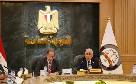 النائب العام يستقبل كجوك لتعزيز الشراكة المؤسسية مع وزارة المالية