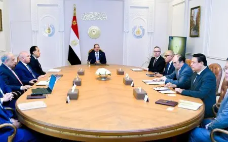 الرئيس السيسي يرحب برؤساء شركتي سكاتك النرويجية وصنجرو الصينية في القاهرة