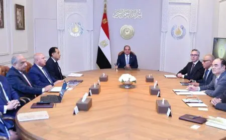 الرئيس السيسي يشدد على تعظيم التعاون مع شركة سكاتك ومجموعة صنجرو لتحقيق فرص أكبر