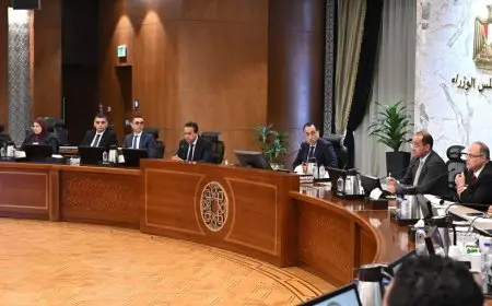 مدبولي يتابع تطوير صناعة الدواء وتأمين الأدوية والمستلزمات الطبية في مصر