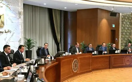 مدبولي يؤكد أهمية توفير التمويل اللازم لهيئة الشراء الموحد لتأمين شراء الأدوية