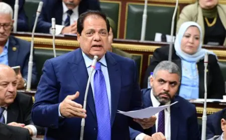 أبو العينين: الاحتلال الإسرائيلي يحاصر الفلسطينيين في غزة بلا طعام أو مأوى