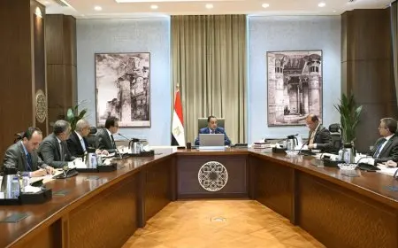 رئيس الوزراء يُعزز طرح الفرص الاستثمارية والملفات الاستراتيجية في قطاع الصحة