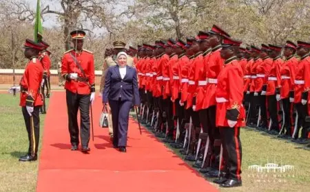 سفيرة مصر الجديدة في مالاوي تسلم أوراق اعتمادها لرئيس البلاد