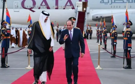 الرئيس السيسي وأمير قطر يناقشان تشكيل رؤية موحدة لحماية الأمن القومي العربي