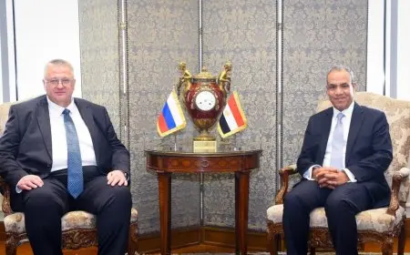 وزير الخارجية يلتقي بنائب رئيس الوزراء الروسي في اجتماع دبلوماسي مهم