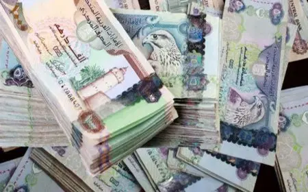 تعرّف على سعر الدرهم الإماراتي اليوم الخميس وهل شهد انخفاضًا