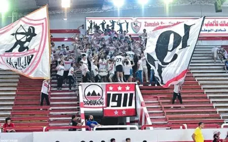 شادي طارق يتولى إدارة تعاقدات ألعاب الصالات بنادي الزمالك