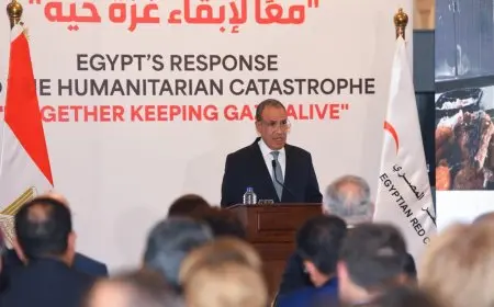 وزارة الخارجية تنظم فعالية حول استجابة مصر للأزمة الإنسانية وتدعو لدعم جهود إبقاء غزة حية