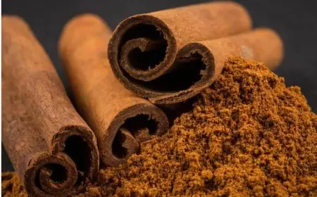 القرفة العيدان أم الأكياس الجاهزة؟ تعرف على فوائدها وأضرارها مع استشاري المناعة