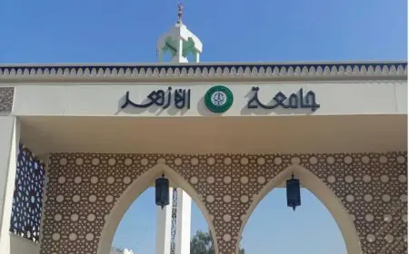 نتيجة تنسيق الأزهر 2025 أدبي بنين: منافسة شديدة ونسب متفاوتة لكليات القمة