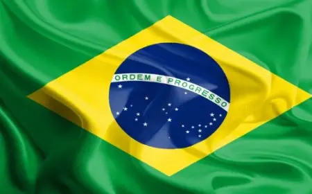 البرازيل تتحد مع جنوب أفريقيا ضد إسرائيل في محكمة العدل الدولية