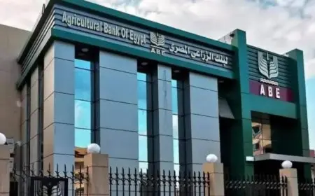 شهادات البنك الزراعي المصري 2025: احصل على عائد شهري مذهل يصل إلى 17%